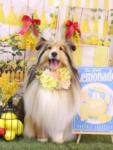 20240430ノアくん